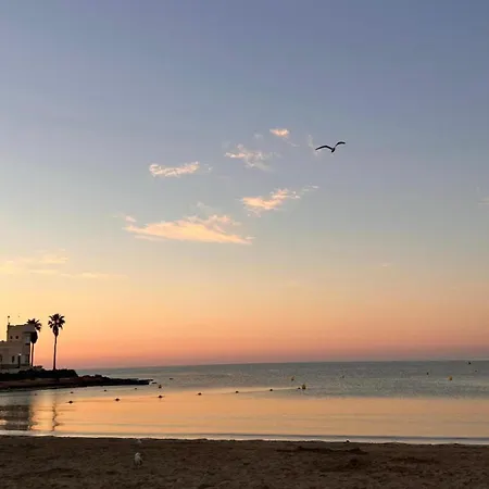 Amazing Penthouse On The Beach, Sea Views, Wifi, Airconditioning And Parking * Torrevieja